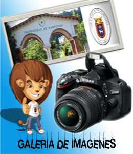 Galería